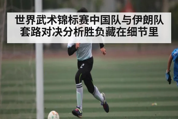 世界武术锦标赛中国队与伊朗队套路对决分析胜负藏在细节里